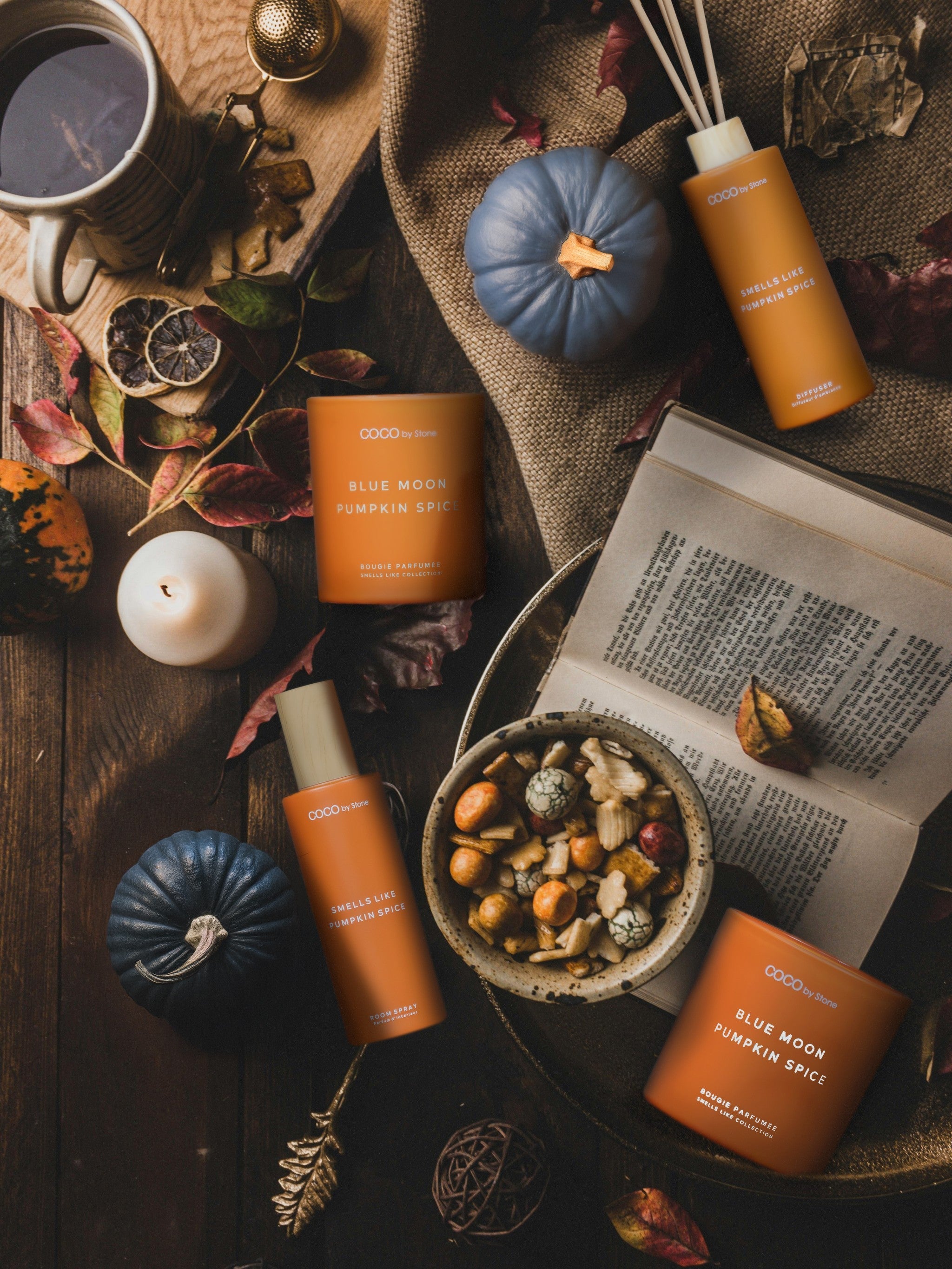 11oz Smells Like Pumpkin Spice Candle